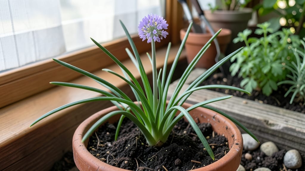 Do Chives Have Flowers: Edible Blooms That Boost Flavor and Beauty